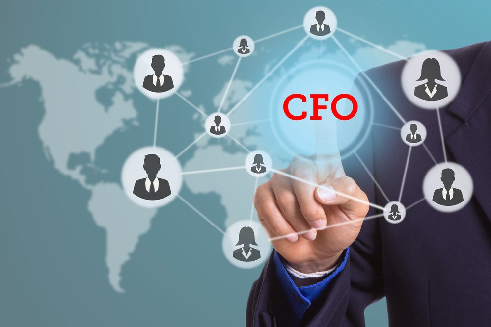 Virtual CFO & Strategic Financial Planning